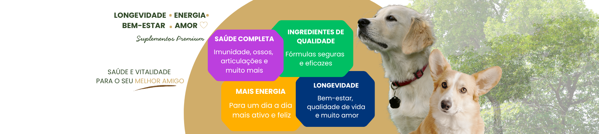 Estamos chegando