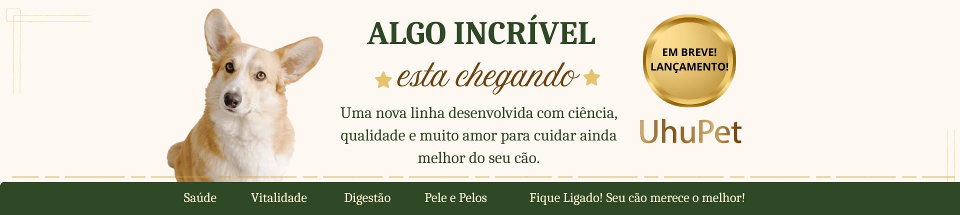 Breve lançamento