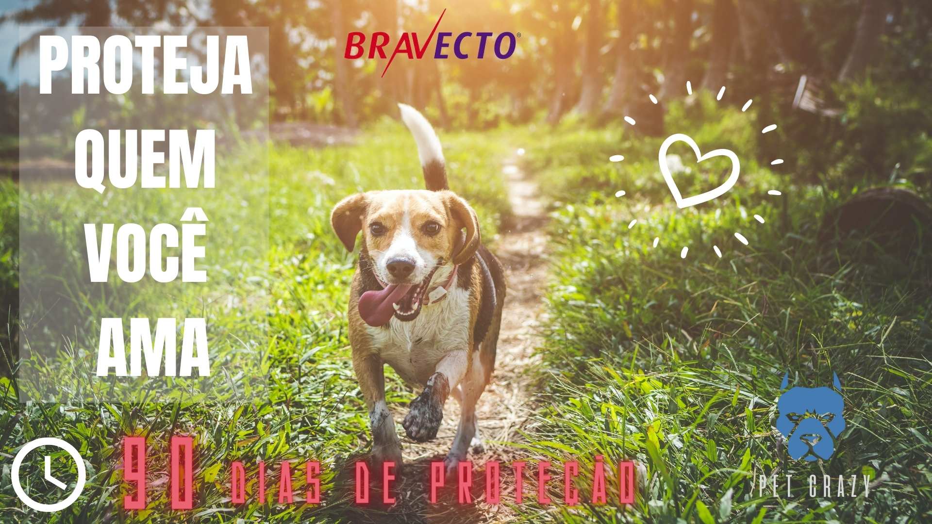 BRAVECTO2