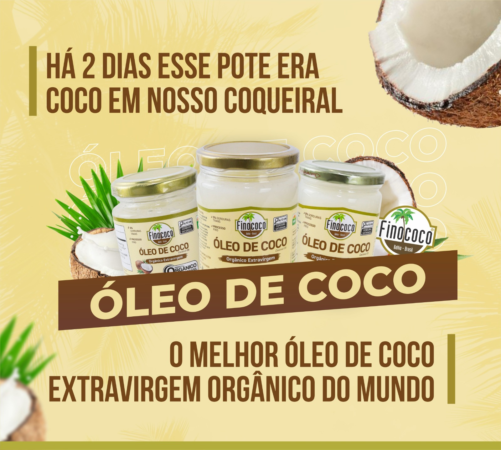 Full banner 2 mobile