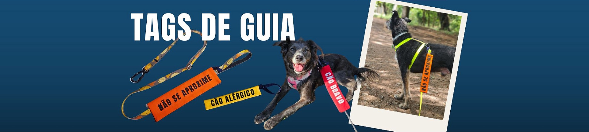 Tags de guia