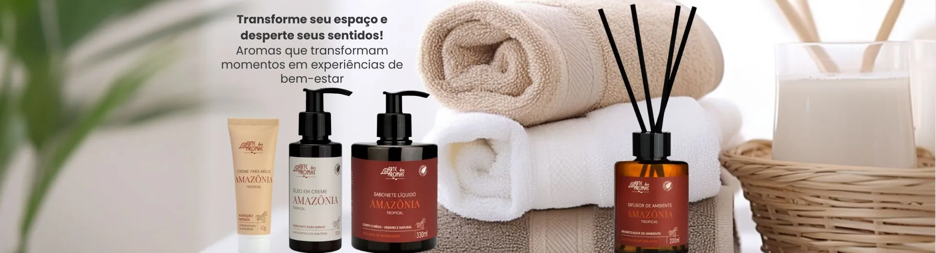 Lançamento Casa