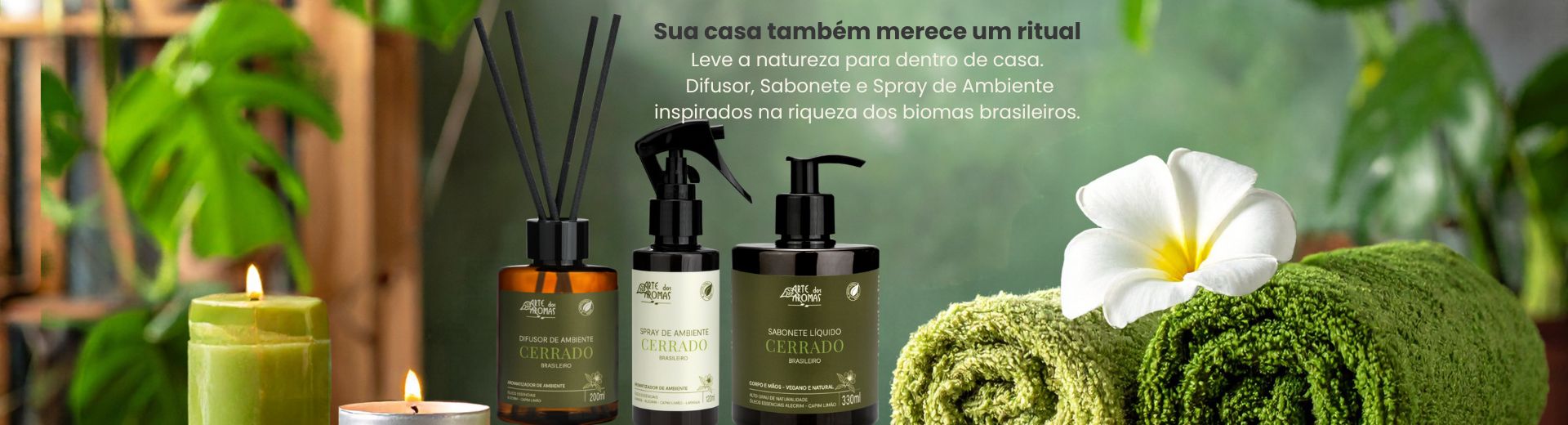 Lançamento Cerrado