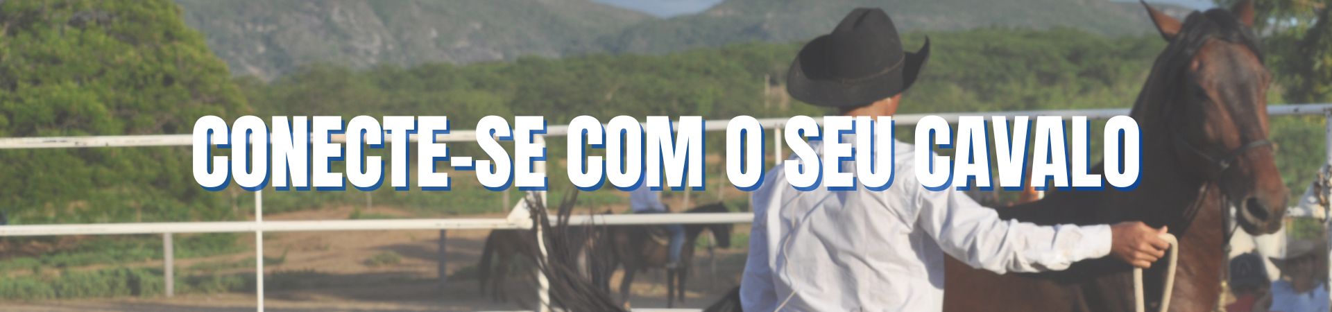 Full Banner
