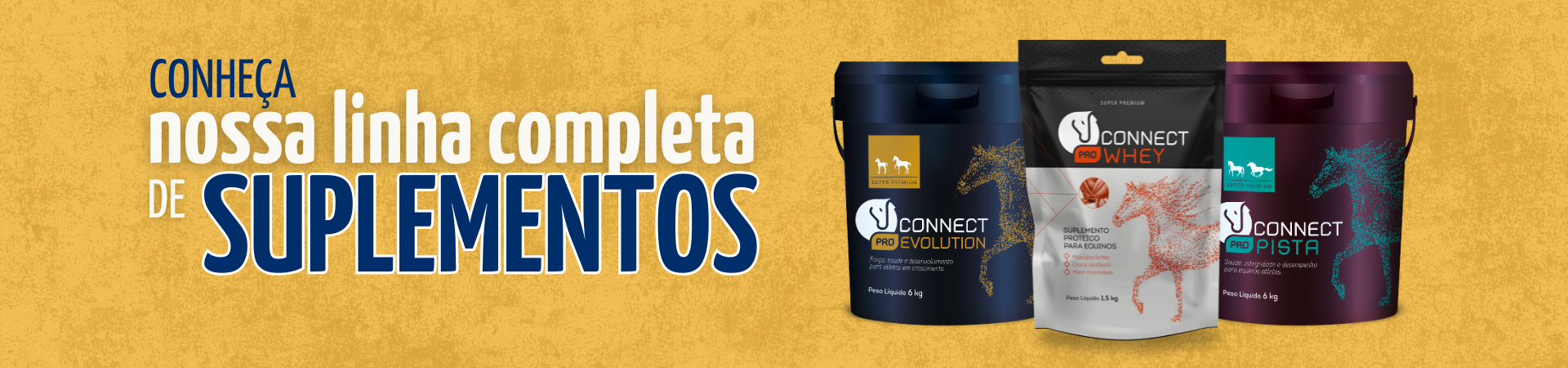 Suplementos