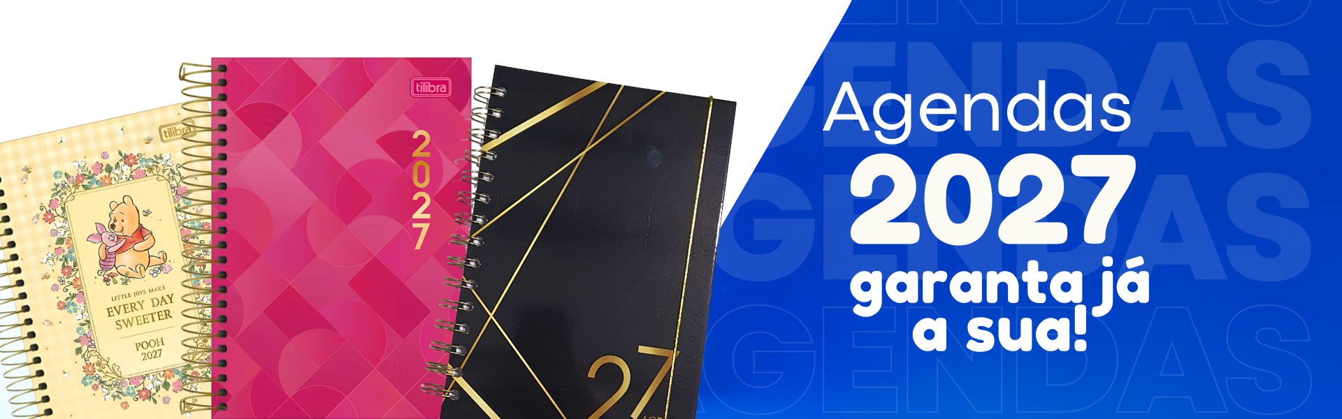 AGENDA 2027