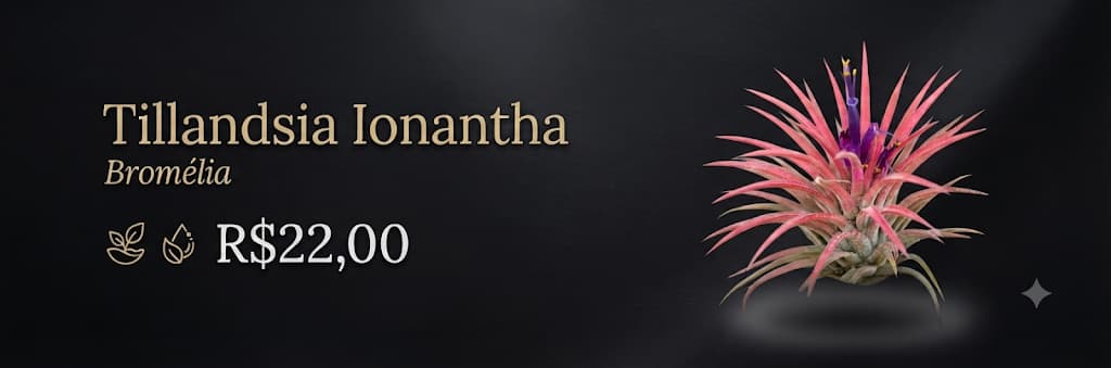 ionantha