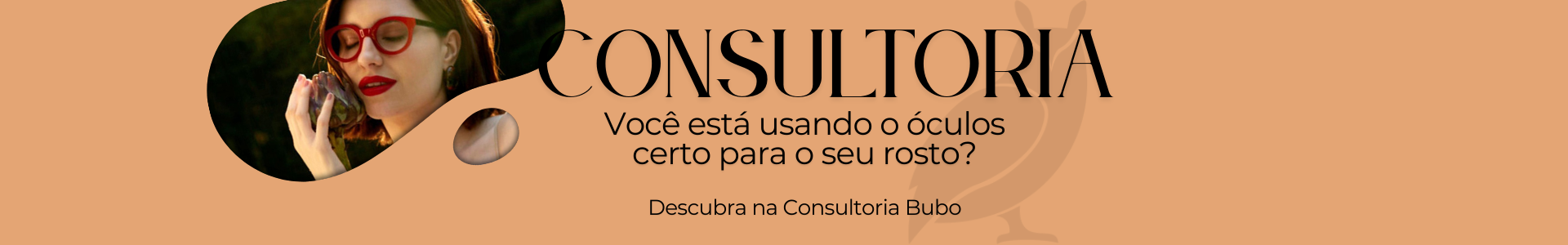 consultoria2