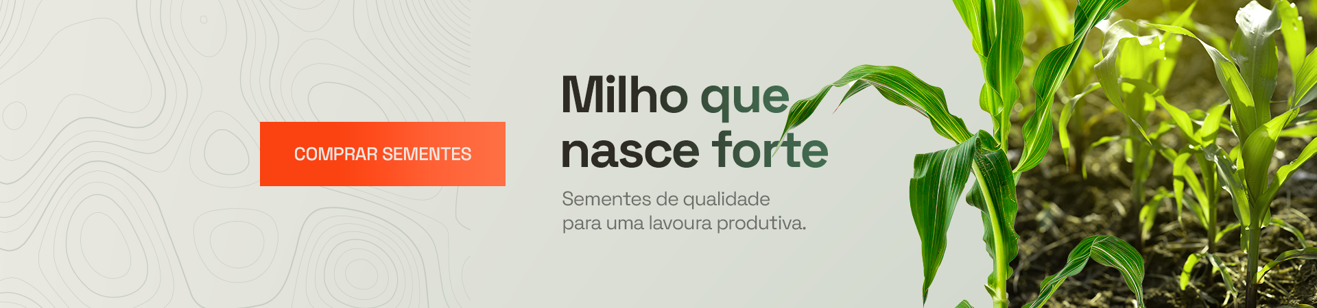 Milho