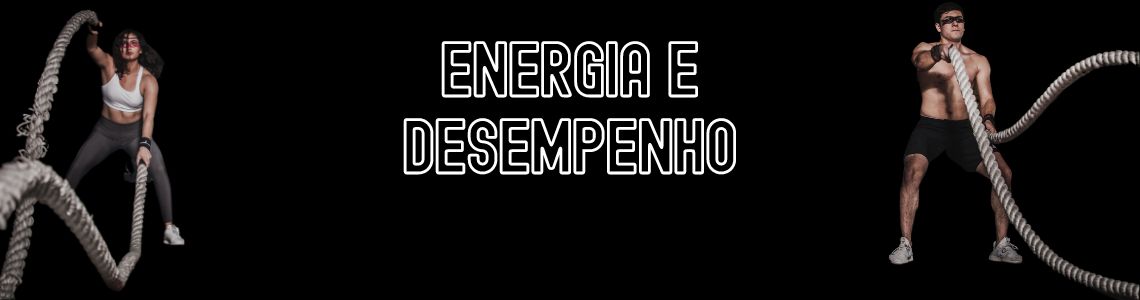 ENERGIA E DESEMPENHO