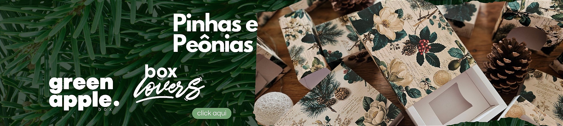 Pinhas e Peônias
