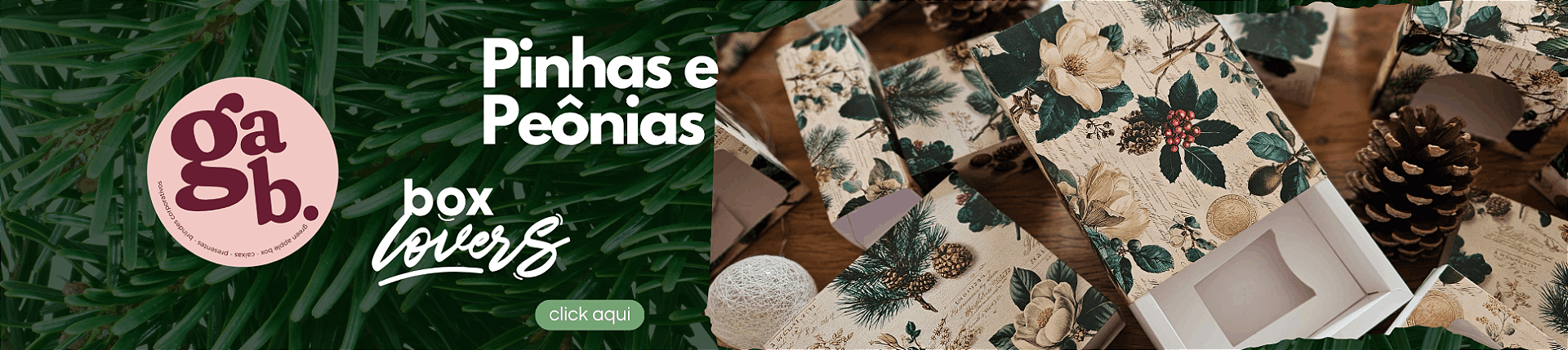 Pinhas e Peônias