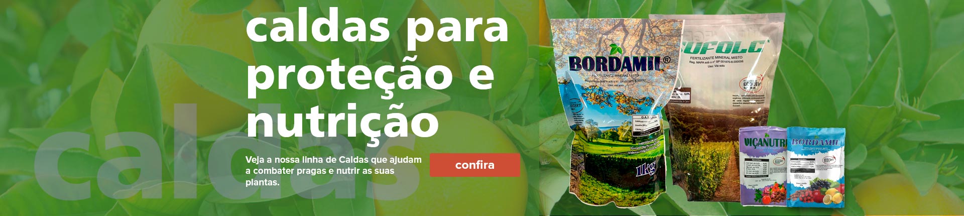 Caldas - Home