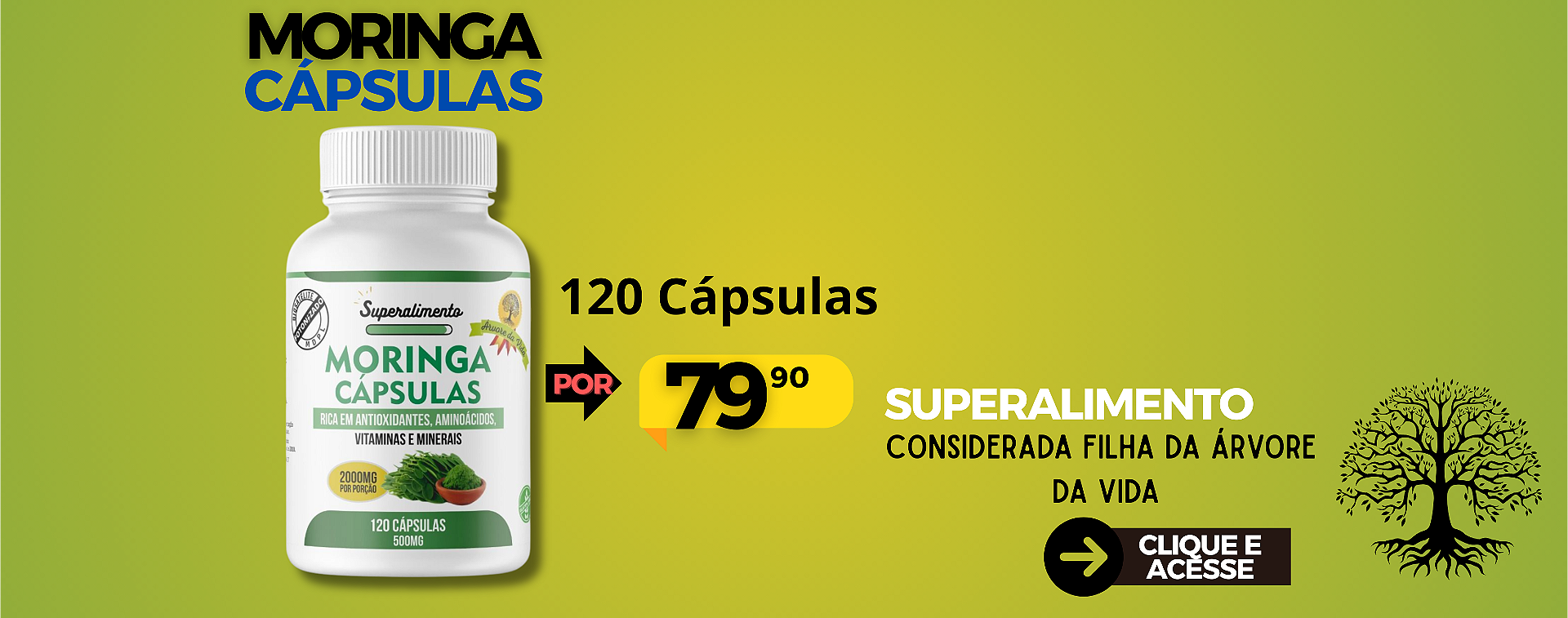 MORINGA PROMO