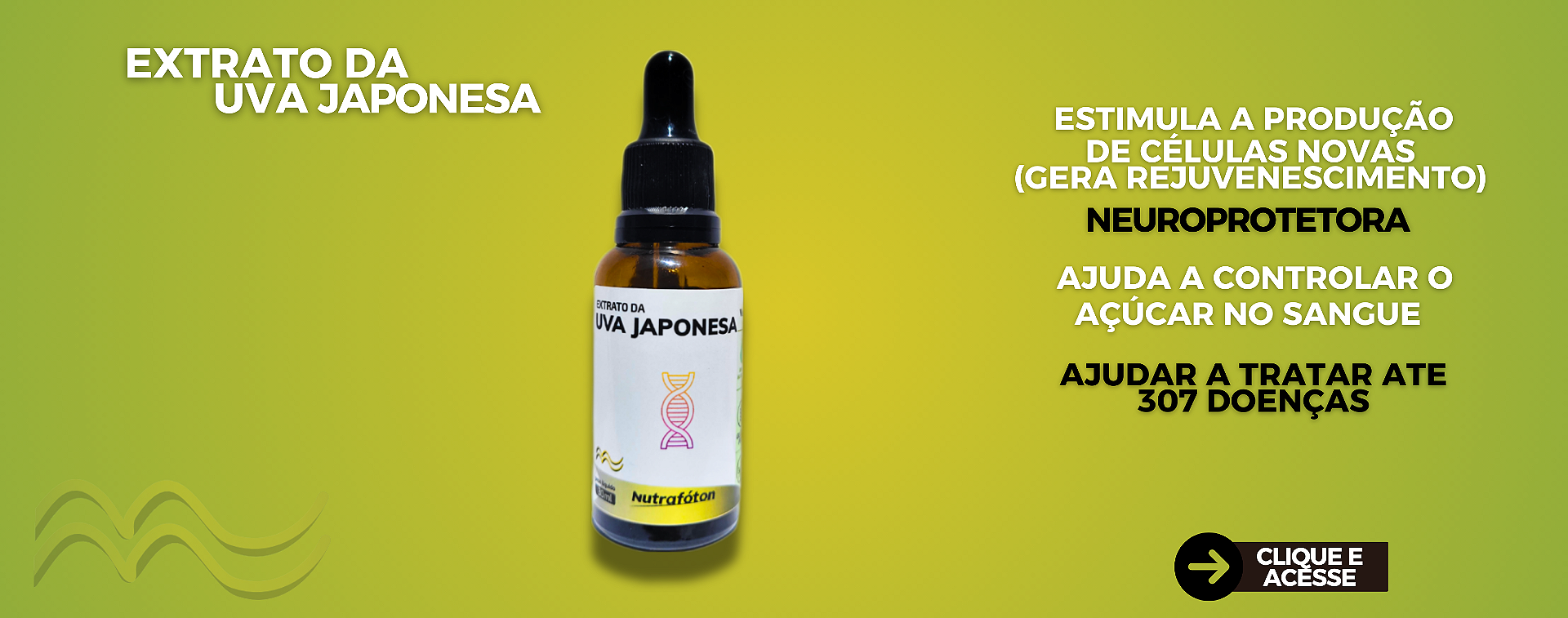 UVA JAPONESA