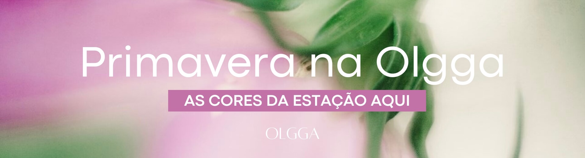 Primavera/24