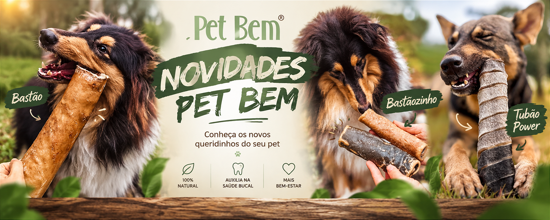 novos petbem