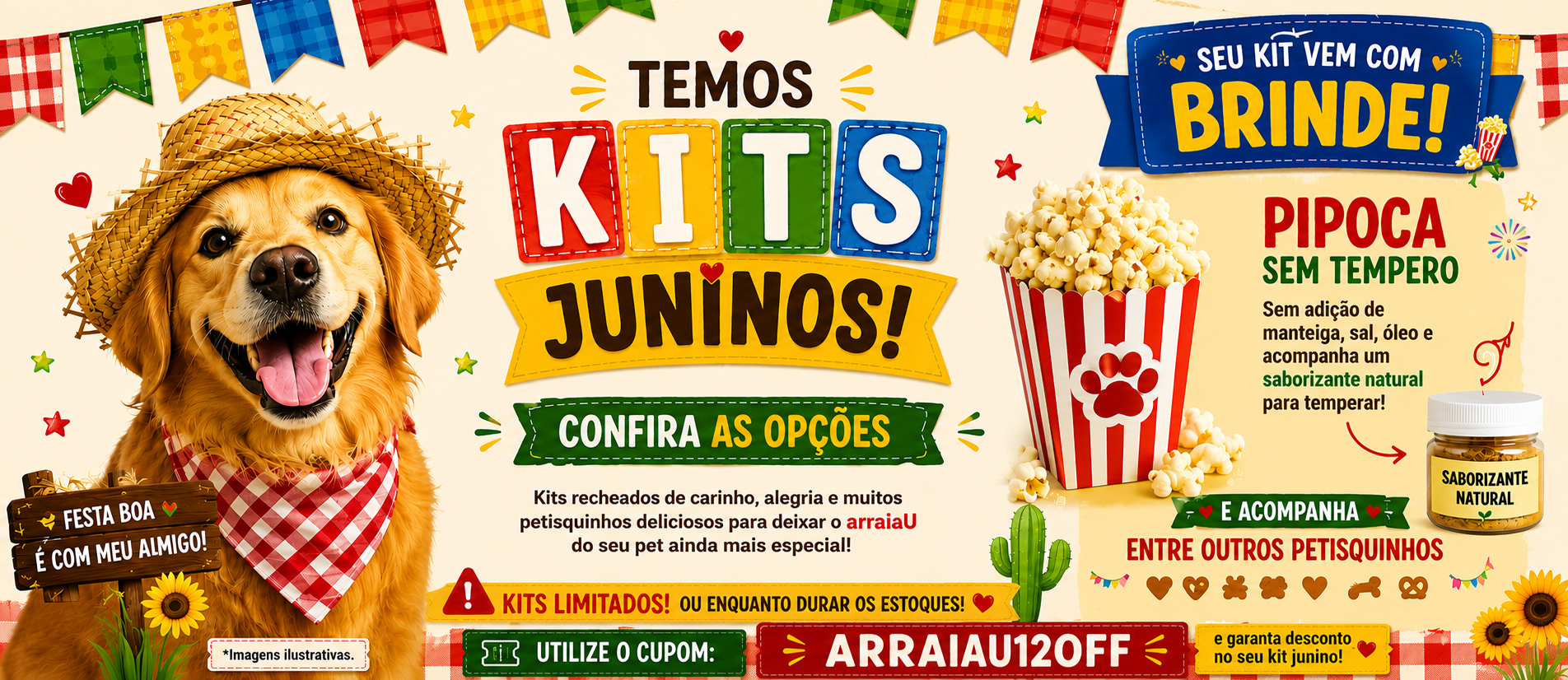 Kits arraiau