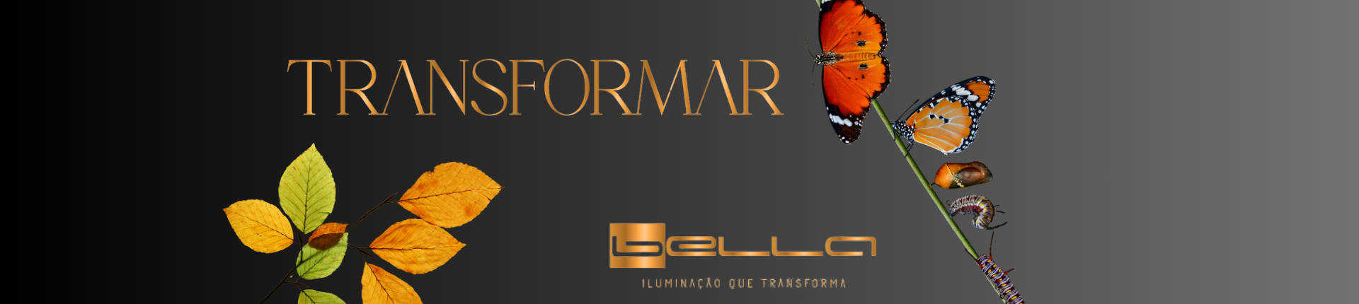 Full5