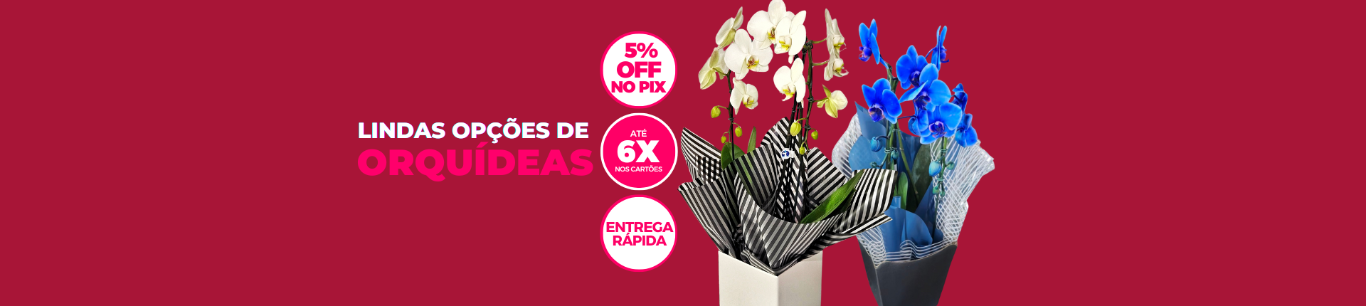 Orquídeas