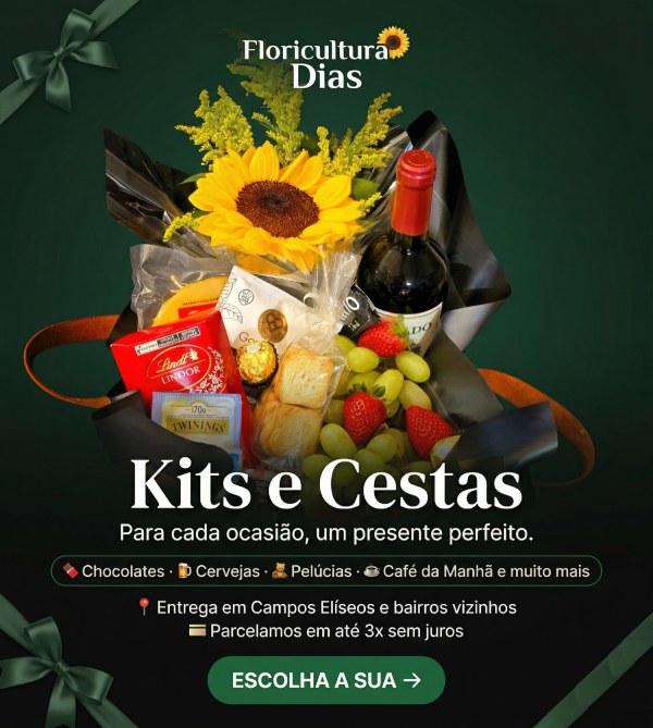 Kit Novo Modelo @mobile