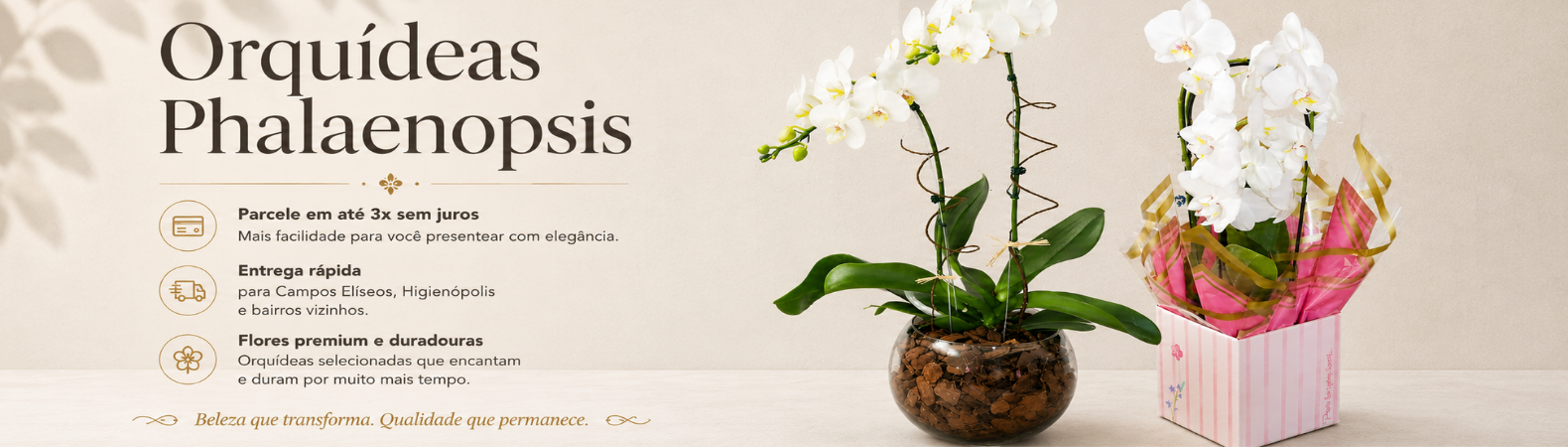 Orquídeas