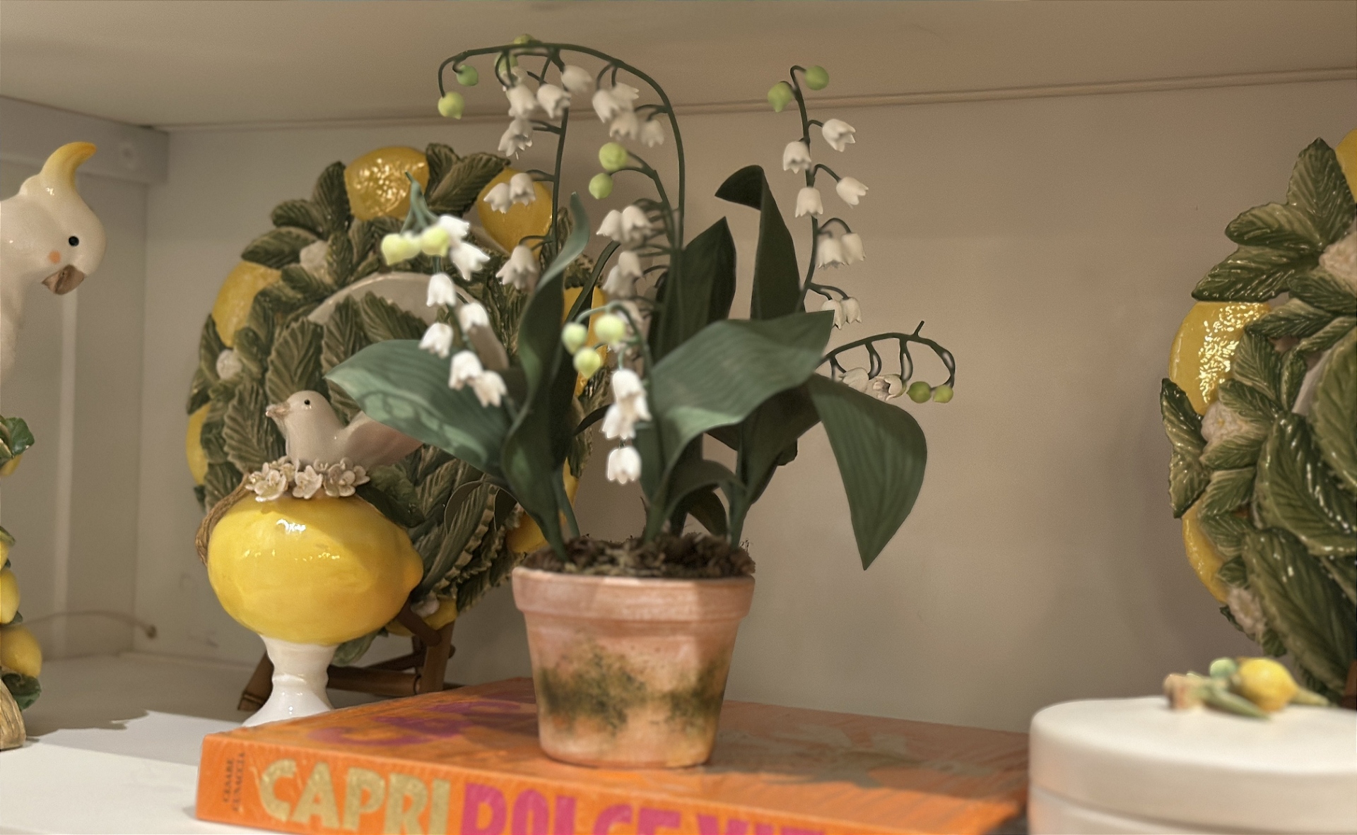 FLORA 1