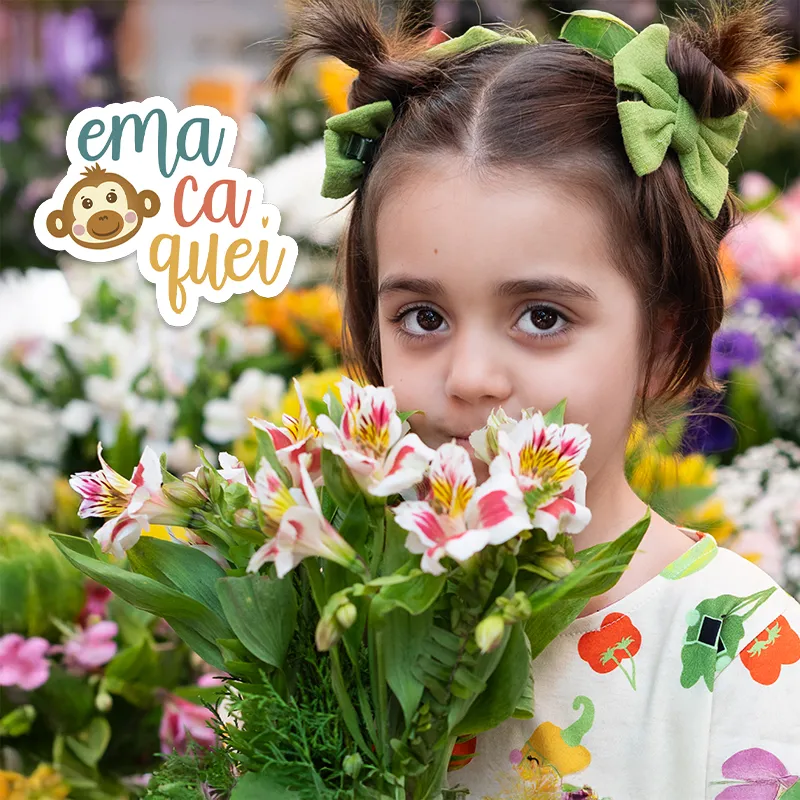 Emacaquei Full banner 3 - mobile