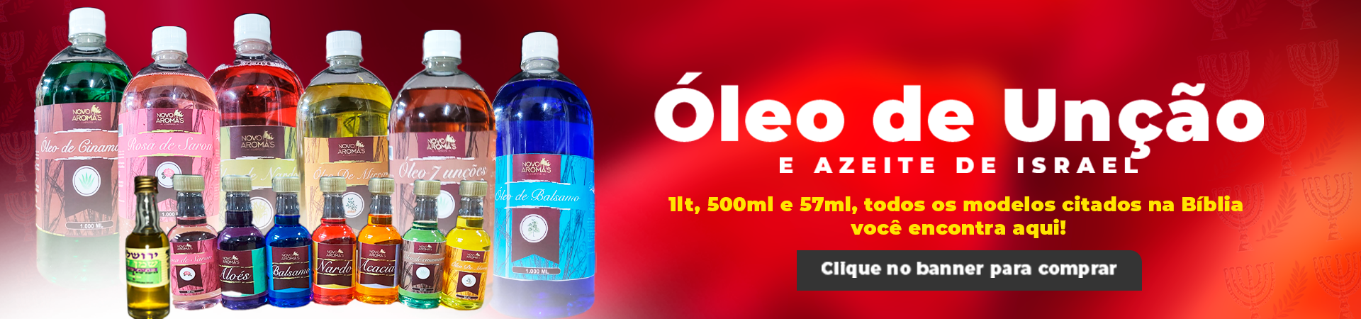 projeto de vida 2026