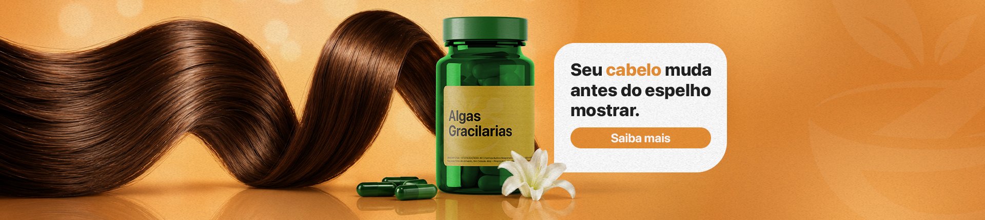 Algas Mai/26 2