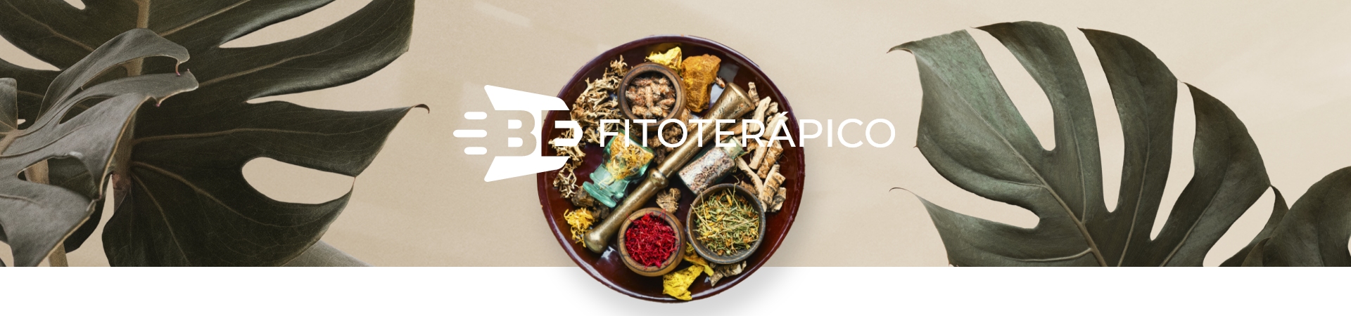 Full banner principal