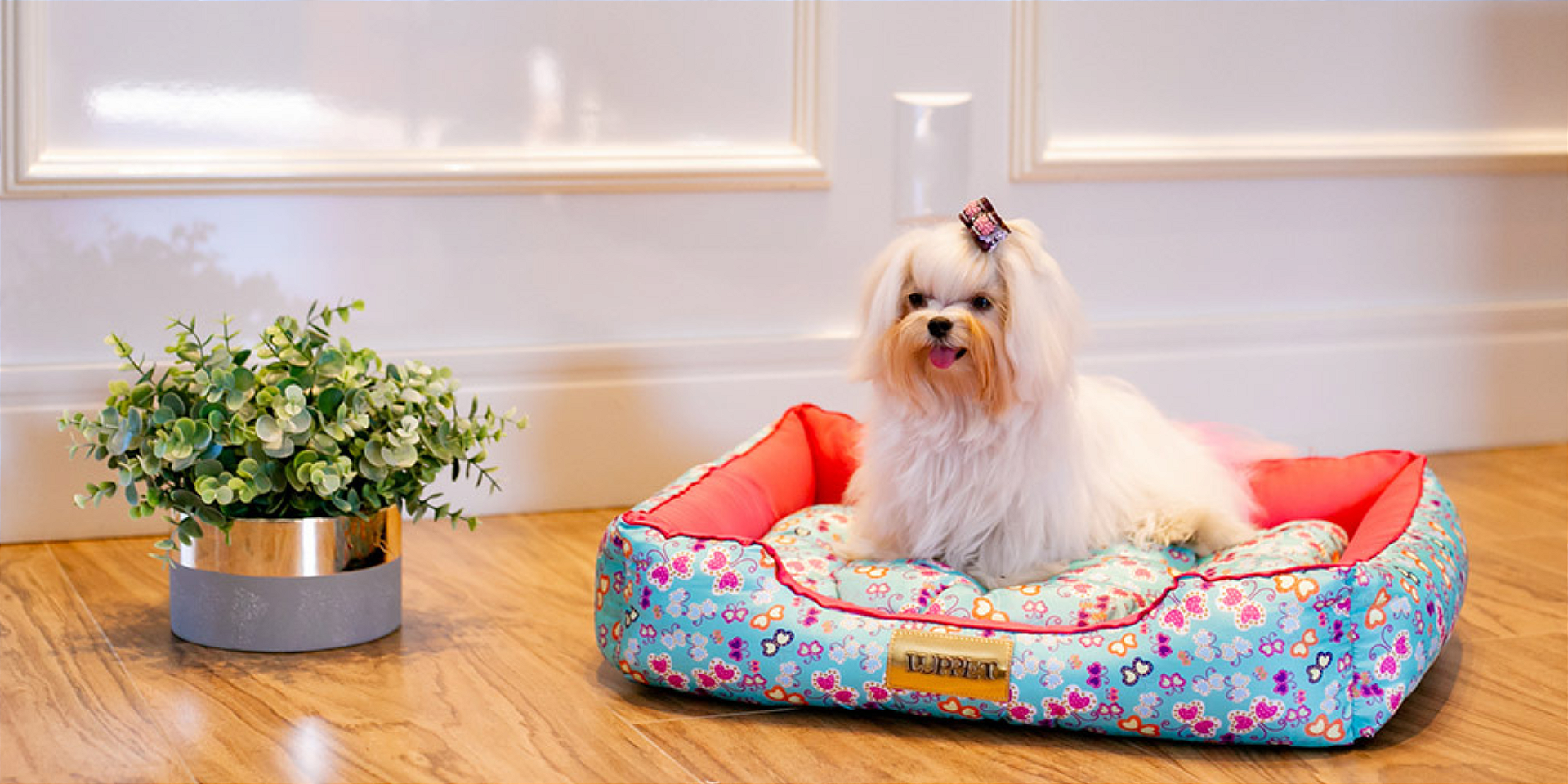 Cama Pet Estampado