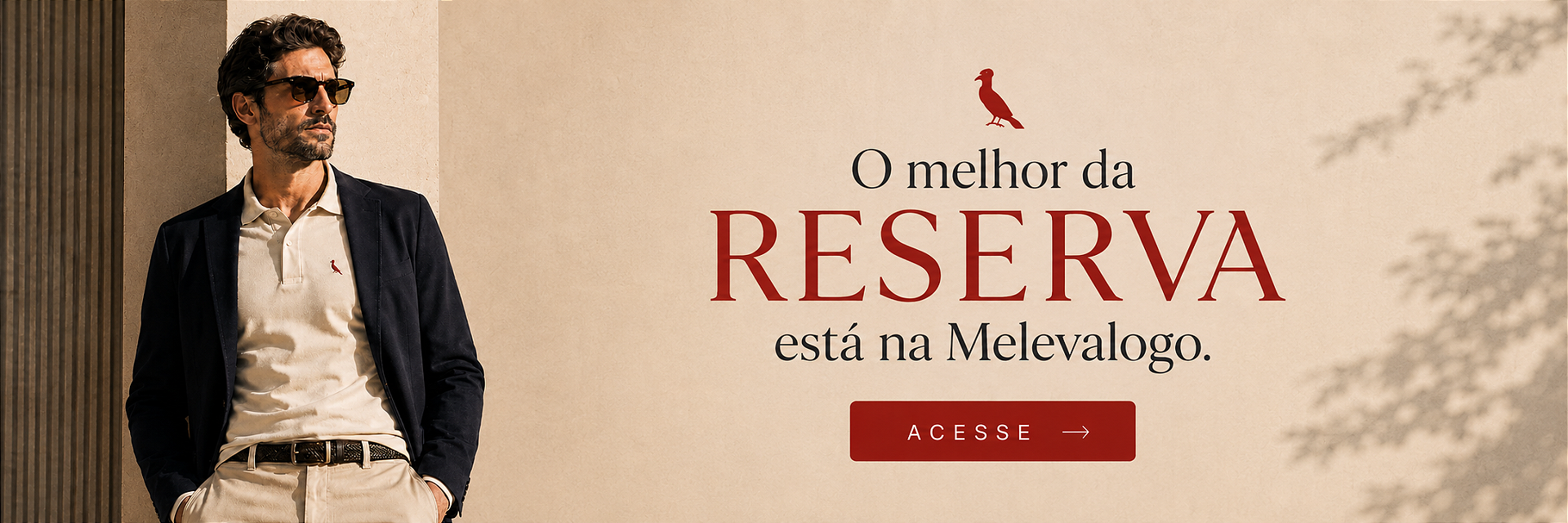 Banner Democrata