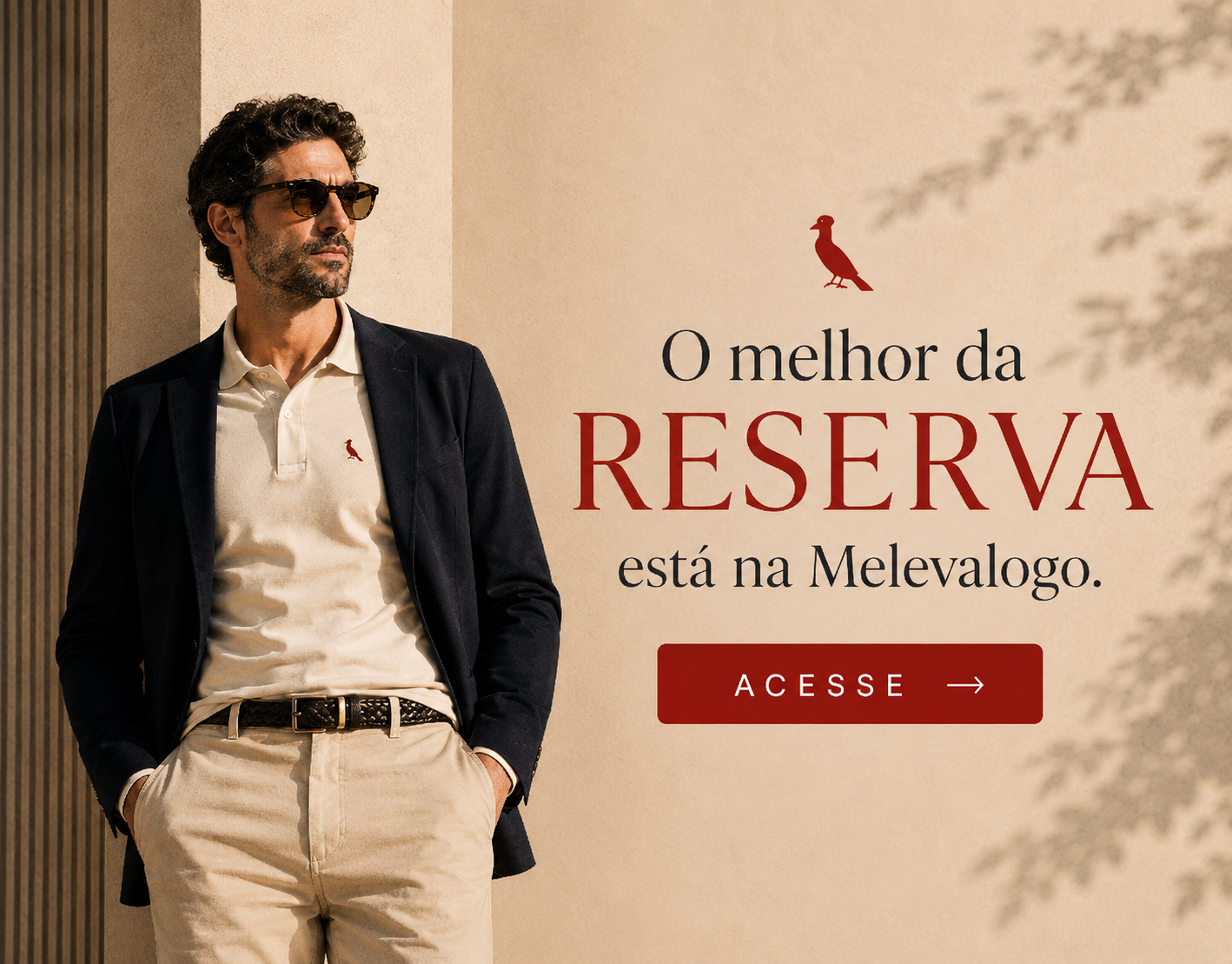 Banner Democrata mobile