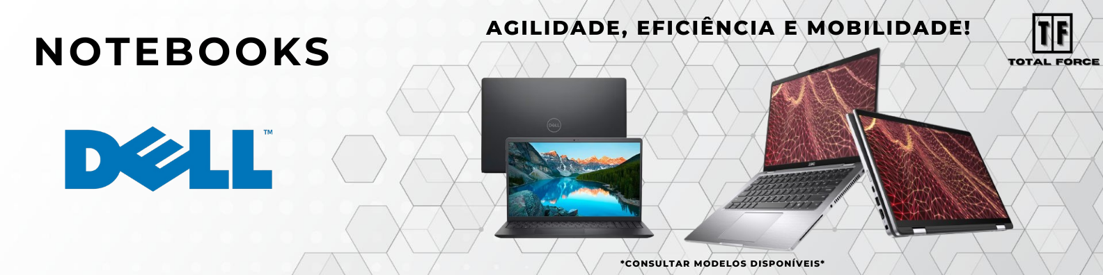 TESTE 6