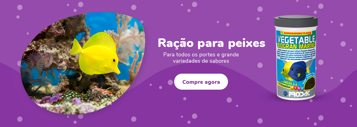 Full peixe