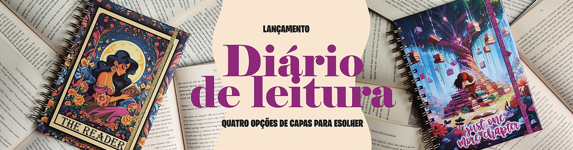 DIARIO DE LEITURA