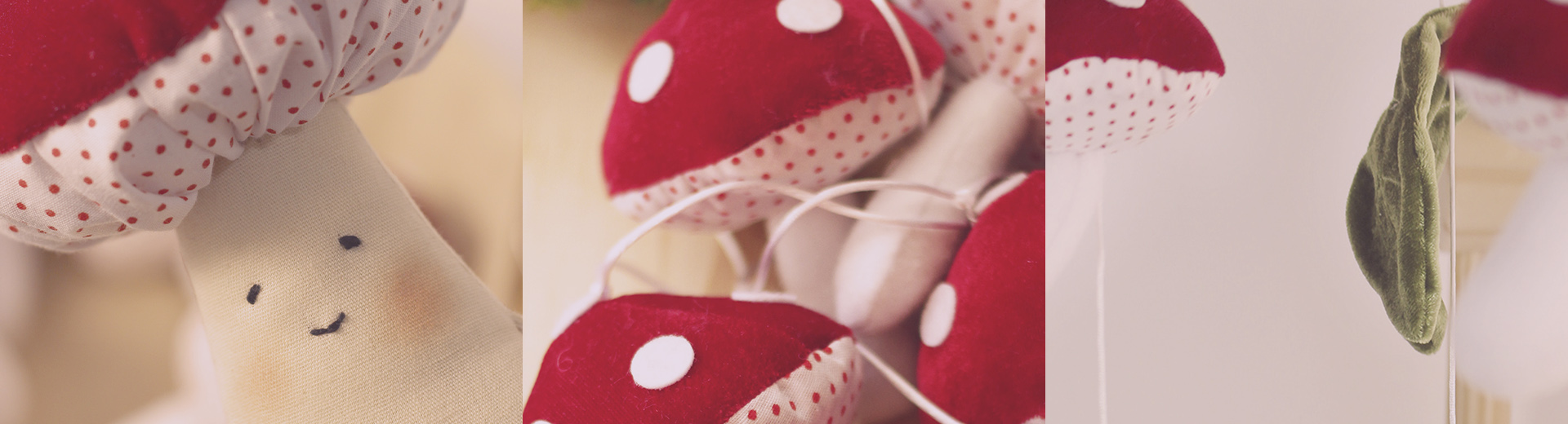 Banner Cogumelos
