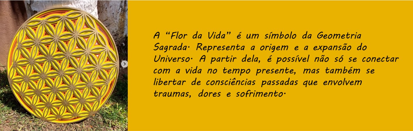 flor da vida