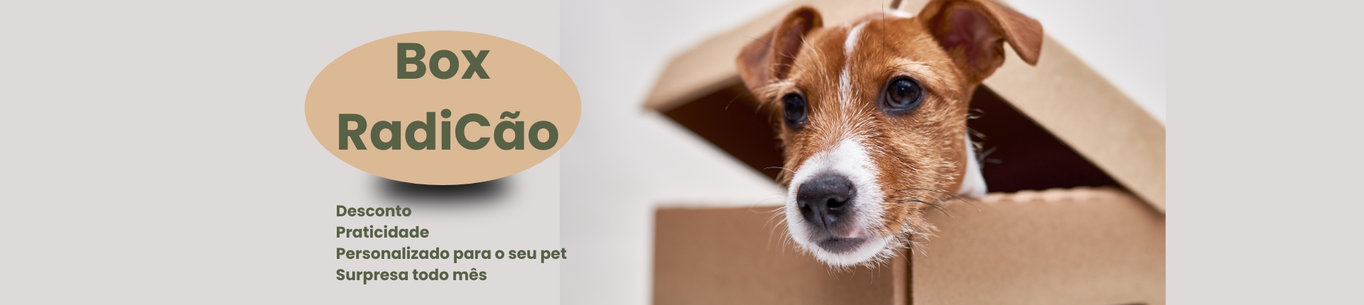 Box radicao