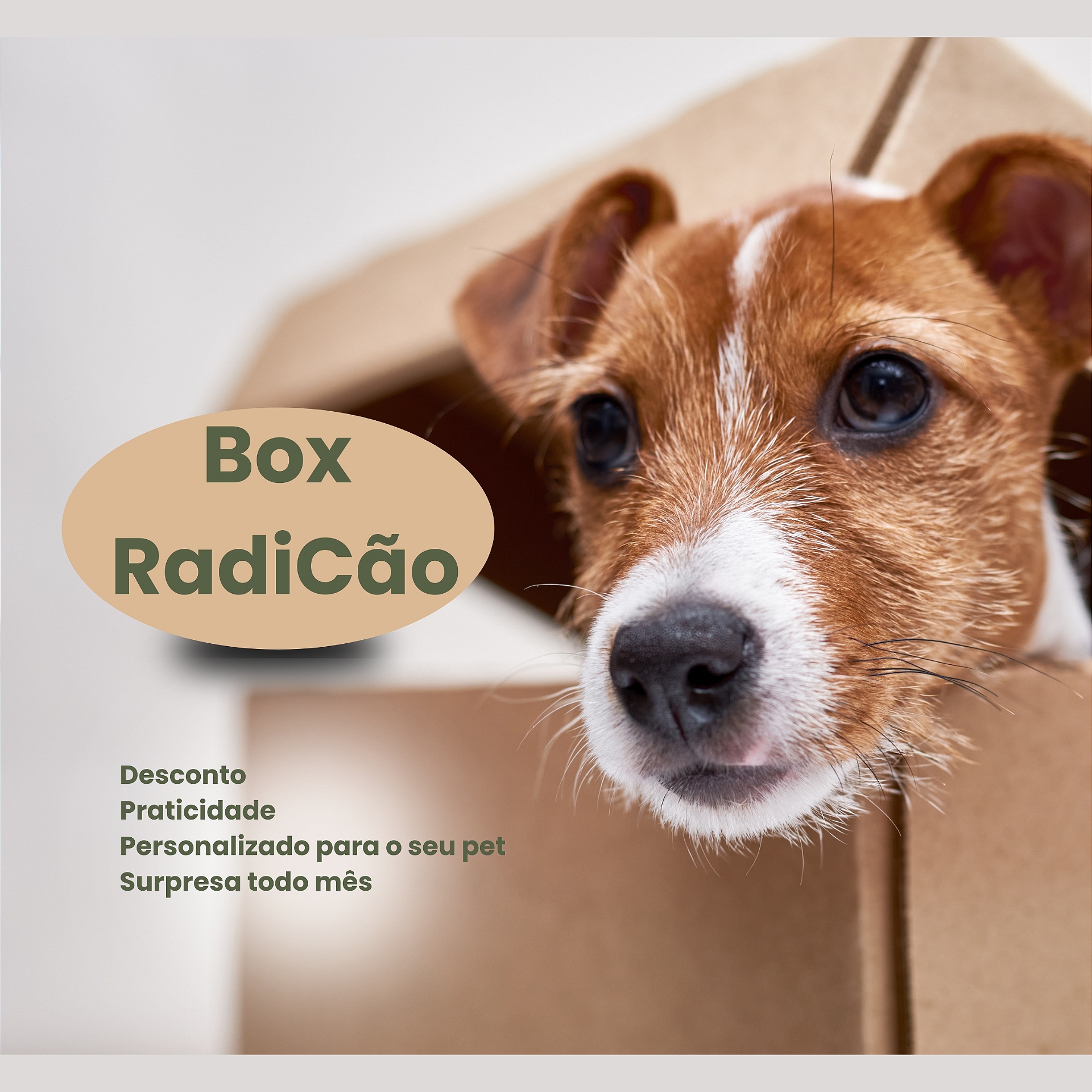 Box radicao mobile