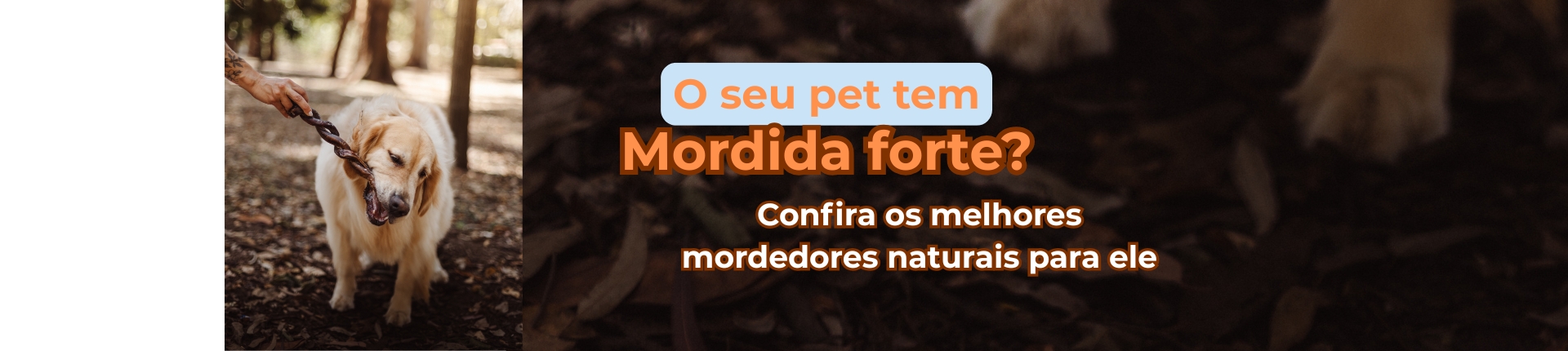 mordida forte