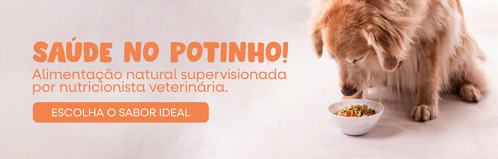 [JULHO] SAÚDE NO POTINHO