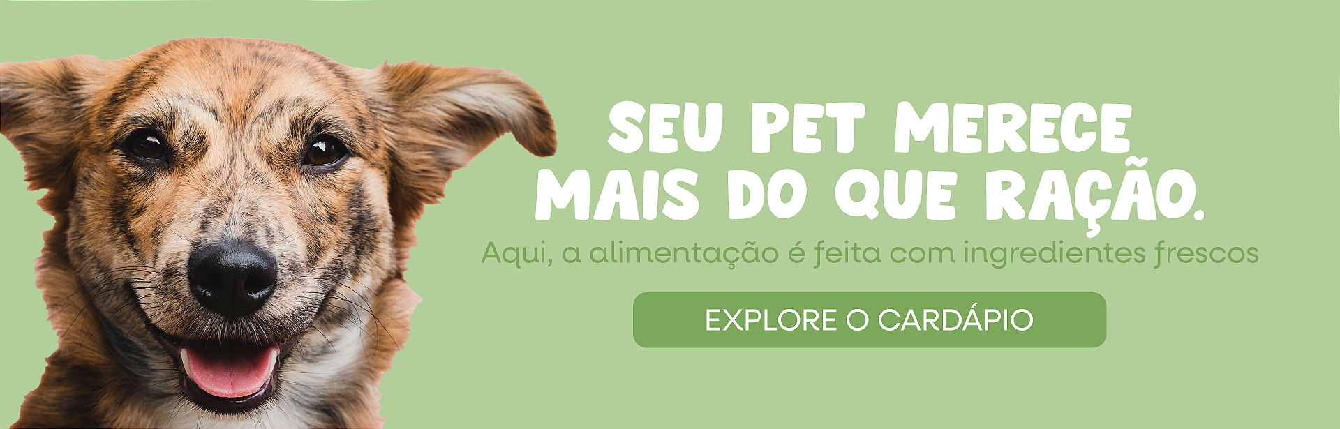 [JULHO] SEU PET MERECE