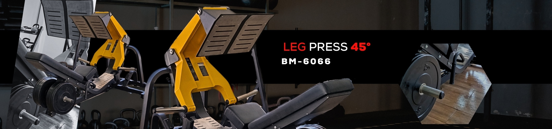 BM Fit 3