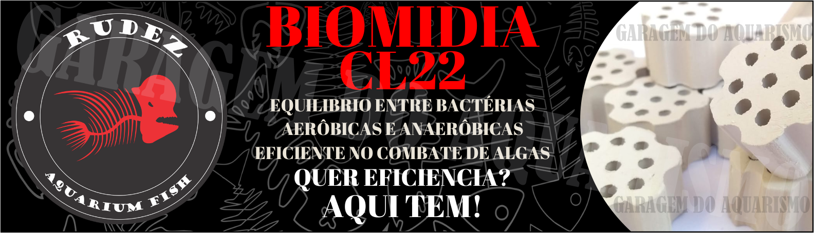 CL22 MIDIA