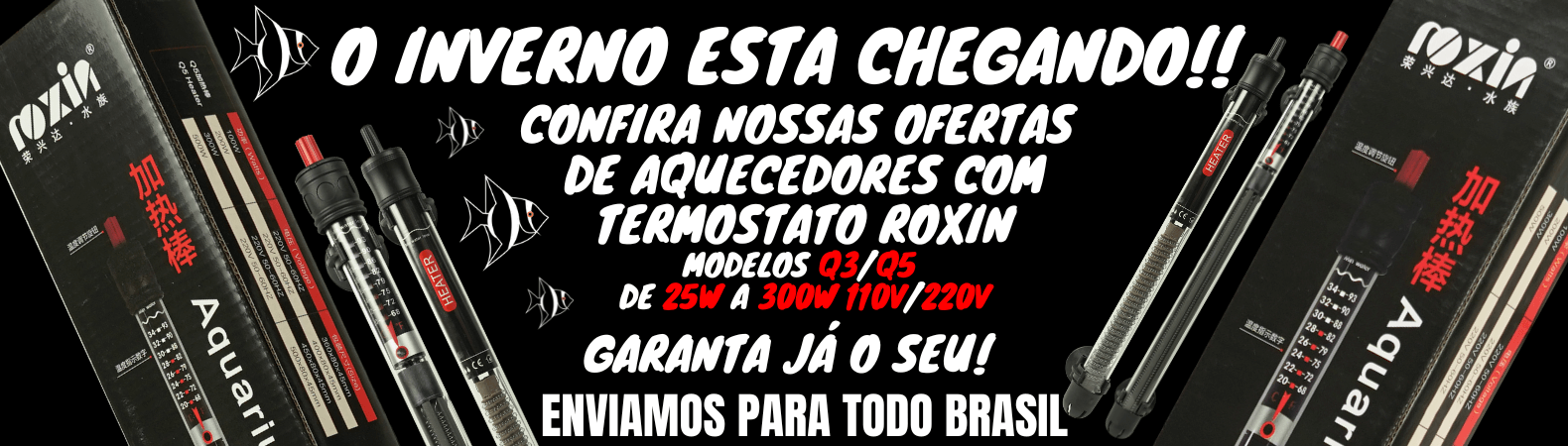 ROXIN