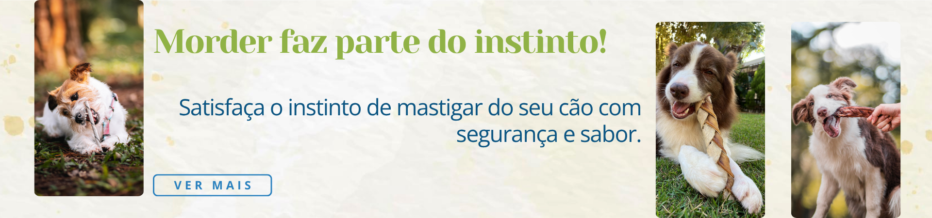 FullBanner [mordedores]