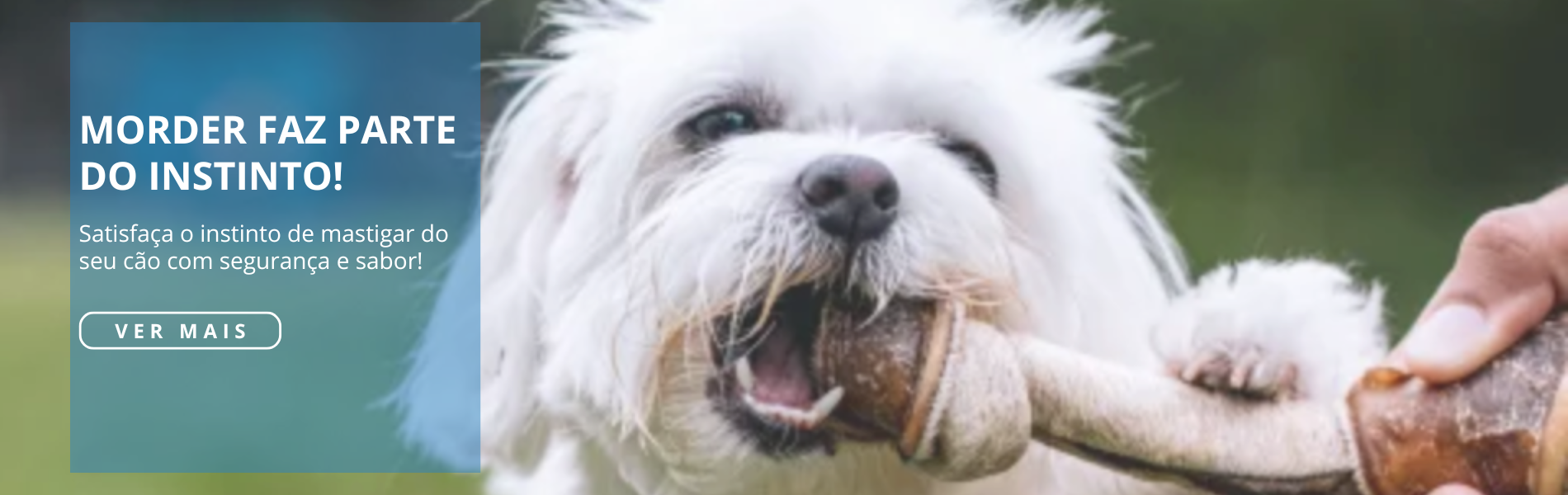 FullBanner [mordedores]