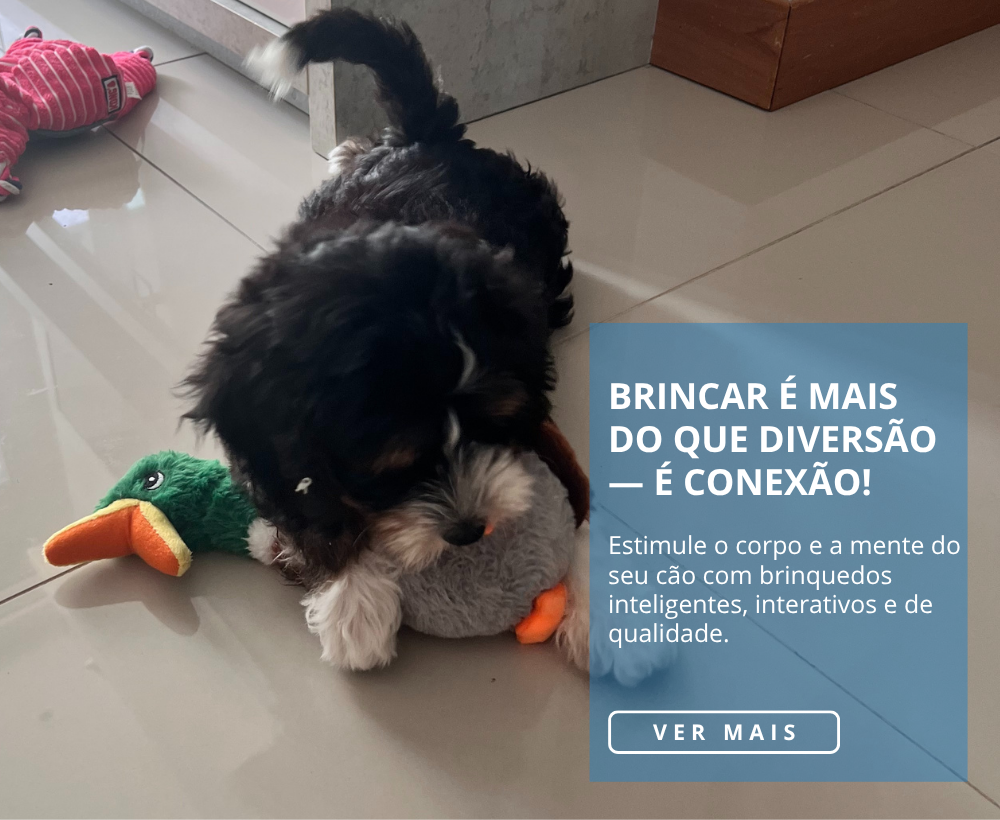 [mobile] FullBanner_1900x600_Brinquedos